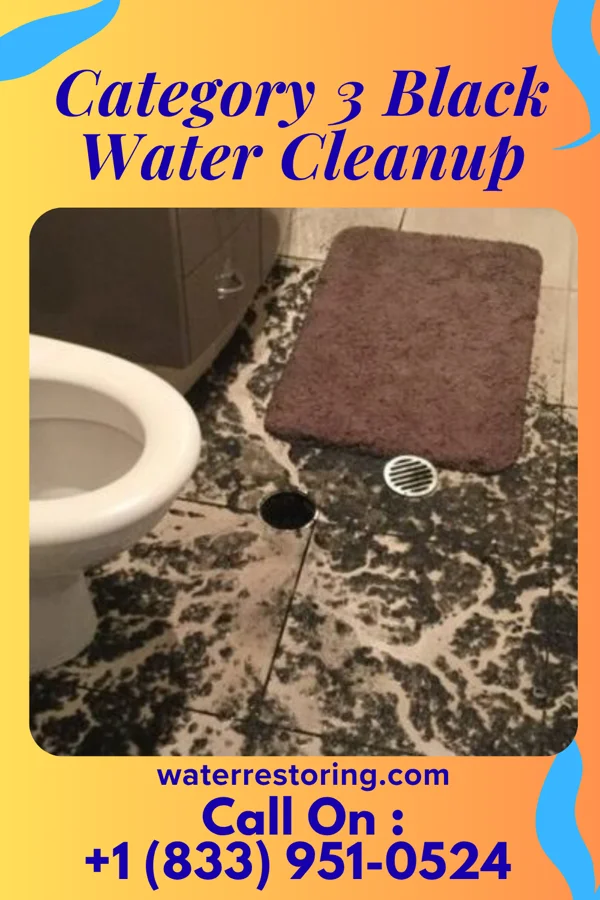 Category 3 Black Water Cleanup in Ocilla, GA
